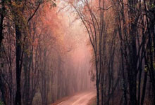 正规炒股指平台杠杆:炒股资金配资-9月1日起开闸！你的个人消费贷款能否贴息、怎么向银行申请 指南来了